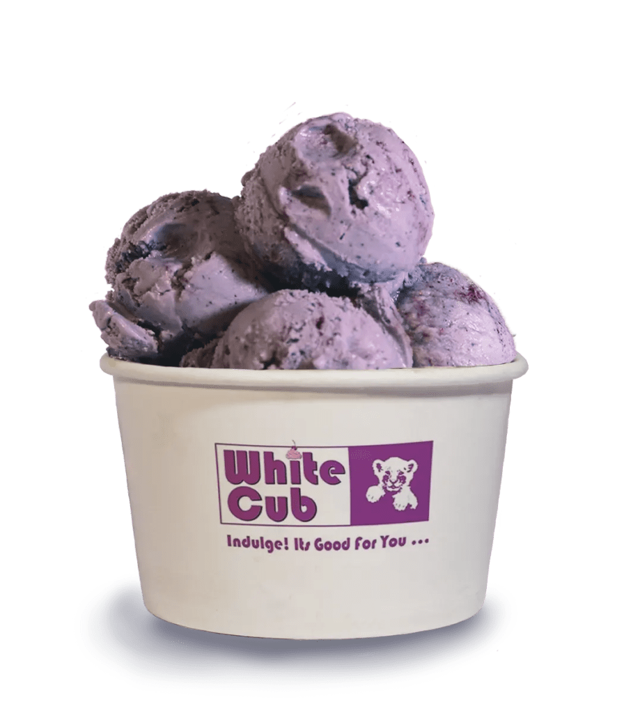 dairy free vegan ice cream brands that deliver online in india image 7 swag swami article