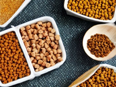 best dog foods in india vegetarian dog food swag swami article