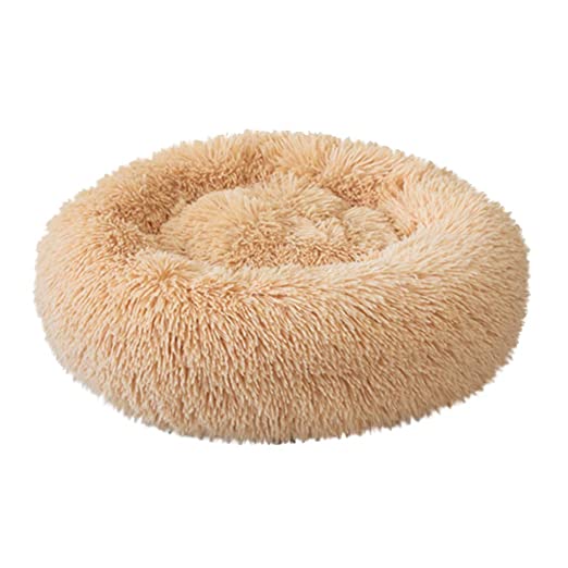 10 best dog beds in india donut dog beds swag swami article