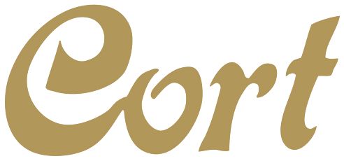 best acoustic guitars in india cort logo swag swami article