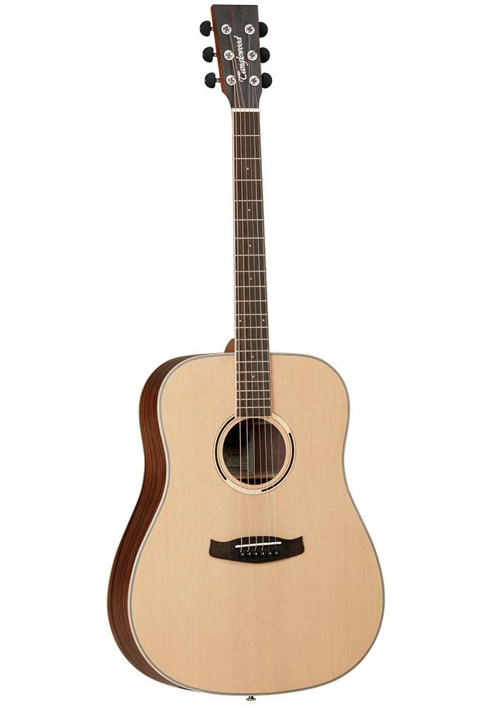 best acoustic guitars in india dreadnought guitars swag swami article