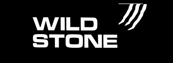 best perfumes for men in india wild stone logo swag swami article