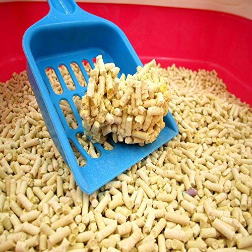 best cat litter in india tofu based cat litter swag swami article